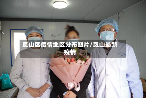 岚山区疫情地区分布图片/岚山最新疫情