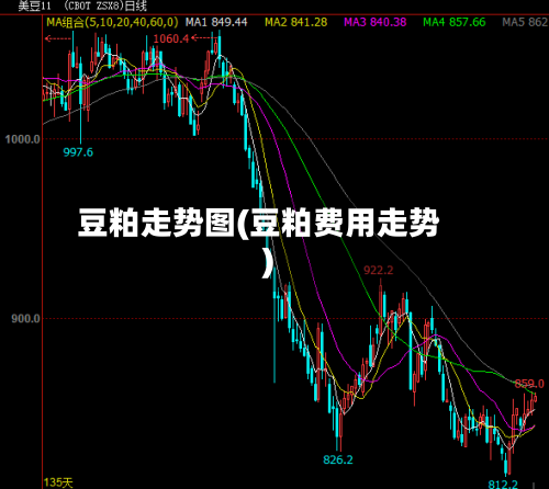 豆粕走势图(豆粕费用走势)-第3张图片