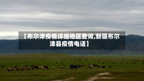 【布尔津疫情详细地区查询,新疆布尔津县疫情电话】