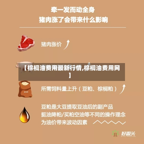 【棕榈油费用最新行情,棕榈油费用网】