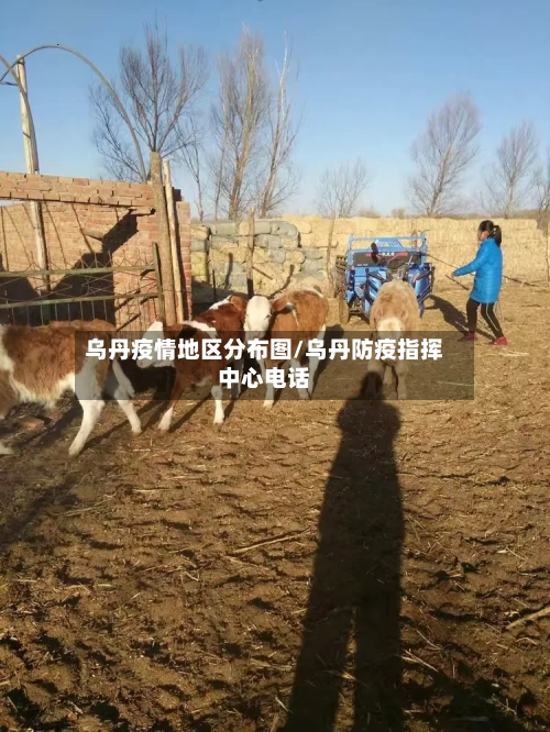 乌丹疫情地区分布图/乌丹防疫指挥中心电话