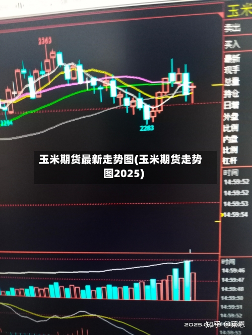 玉米期货最新走势图(玉米期货走势图2025)