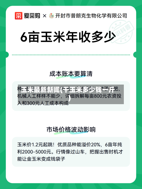 玉米最新新闻(干玉米多少钱一斤)-第2张图片
