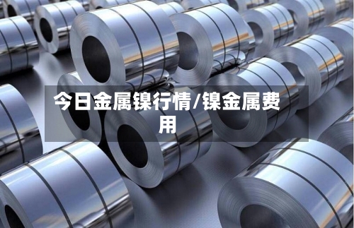 今日金属镍行情/镍金属费用-第3张图片