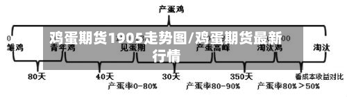 鸡蛋期货1905走势图/鸡蛋期货最新行情