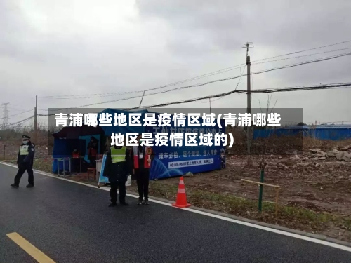 青浦哪些地区是疫情区域(青浦哪些地区是疫情区域的)-第3张图片