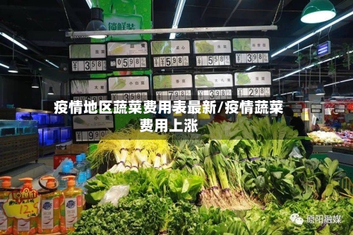 疫情地区蔬菜费用表最新/疫情蔬菜费用上涨-第2张图片