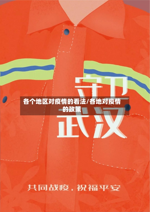 各个地区对疫情的看法/各地对疫情的政策-第2张图片