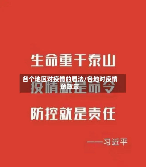 各个地区对疫情的看法/各地对疫情的政策