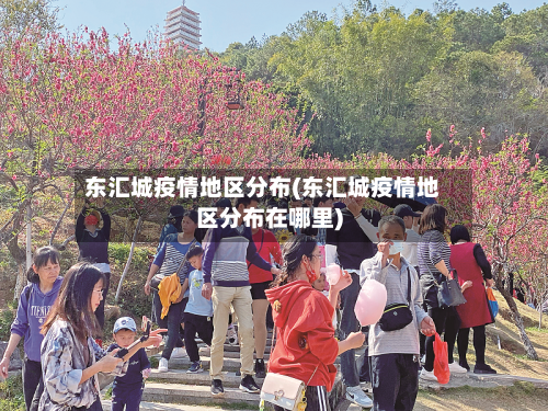 东汇城疫情地区分布(东汇城疫情地区分布在哪里)