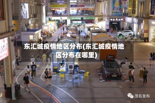 东汇城疫情地区分布(东汇城疫情地区分布在哪里)-第2张图片
