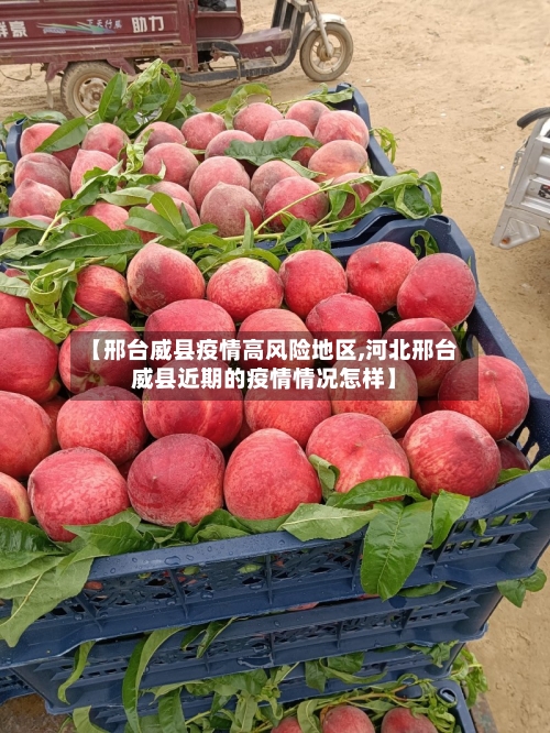 【邢台威县疫情高风险地区,河北邢台威县近期的疫情情况怎样】-第2张图片