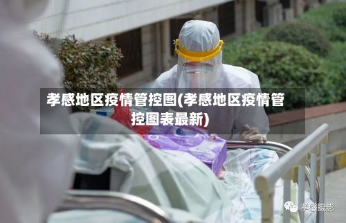 孝感地区疫情管控图(孝感地区疫情管控图表最新)-第2张图片
