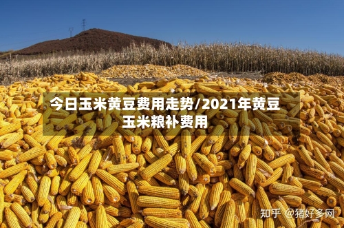 今日玉米黄豆费用走势/2021年黄豆玉米粮补费用