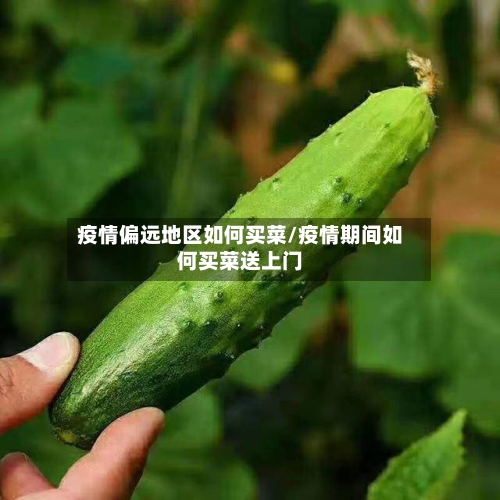 疫情偏远地区如何买菜/疫情期间如何买菜送上门-第2张图片
