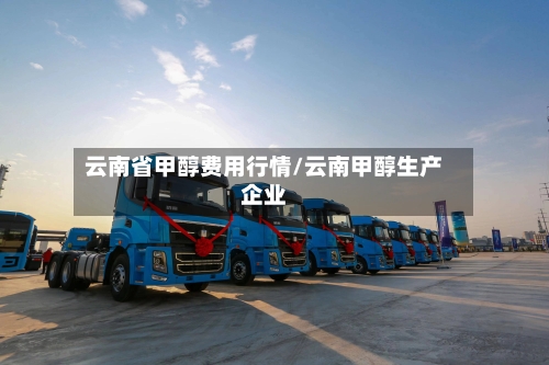 云南省甲醇费用行情/云南甲醇生产企业