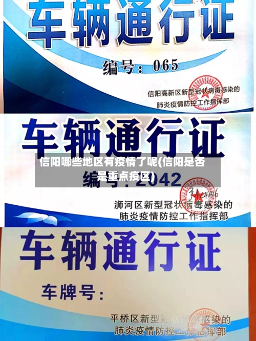 信阳哪些地区有疫情了呢(信阳是否是重点疫区)