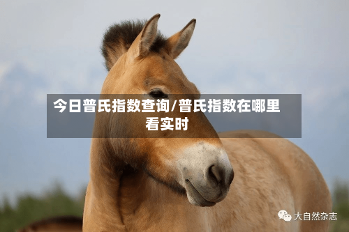 今日普氏指数查询/普氏指数在哪里看实时