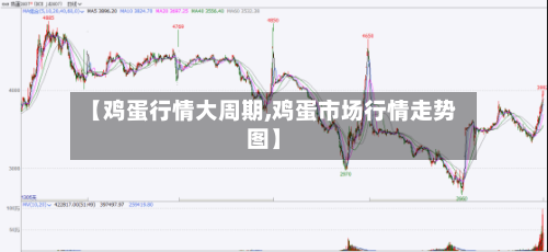 【鸡蛋行情大周期,鸡蛋市场行情走势图】-第2张图片
