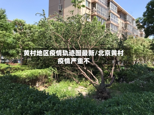 黄村地区疫情轨迹图最新/北京黄村疫情严重不-第2张图片