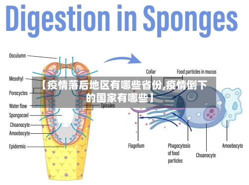 【疫情落后地区有哪些省份,疫情倒下的国家有哪些】-第2张图片