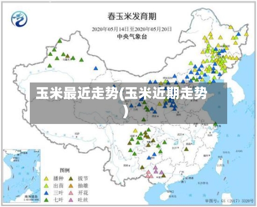 玉米最近走势(玉米近期走势)