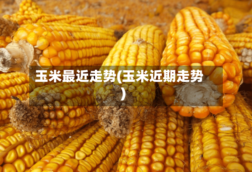 玉米最近走势(玉米近期走势)-第2张图片