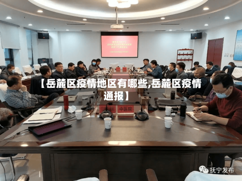 【岳麓区疫情地区有哪些,岳麓区疫情通报】-第2张图片