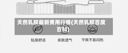 天然乳胶最新费用行情(天然乳胶百度百科)