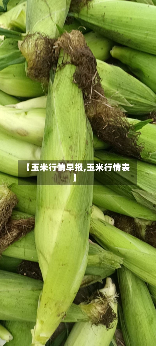 【玉米行情早报,玉米行情表】-第2张图片
