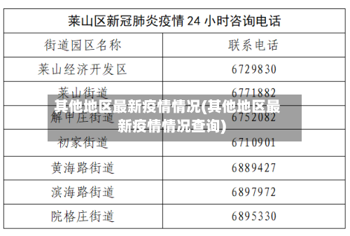 其他地区最新疫情情况(其他地区最新疫情情况查询)