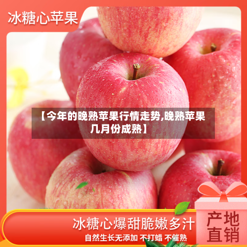 【今年的晚熟苹果行情走势,晚熟苹果几月份成熟】-第2张图片