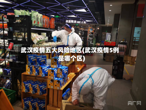 武汉疫情五大风险地区(武汉疫情5例是哪个区)-第2张图片