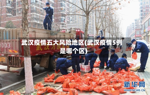 武汉疫情五大风险地区(武汉疫情5例是哪个区)-第3张图片