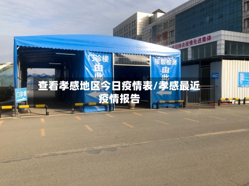 查看孝感地区今日疫情表/孝感最近疫情报告