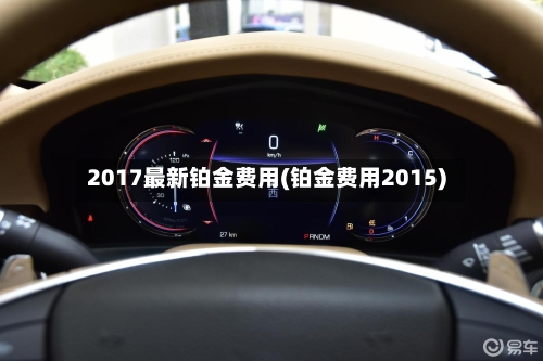 2017最新铂金费用(铂金费用2015)-第2张图片