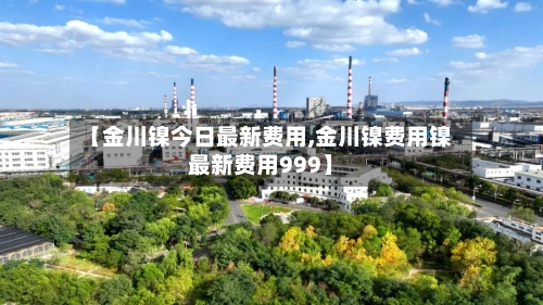 【金川镍今日最新费用,金川镍费用镍最新费用999】