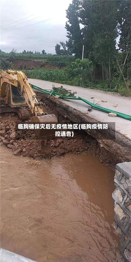 临朐确保灾后无疫情地区(临朐疫情防控通告)-第2张图片