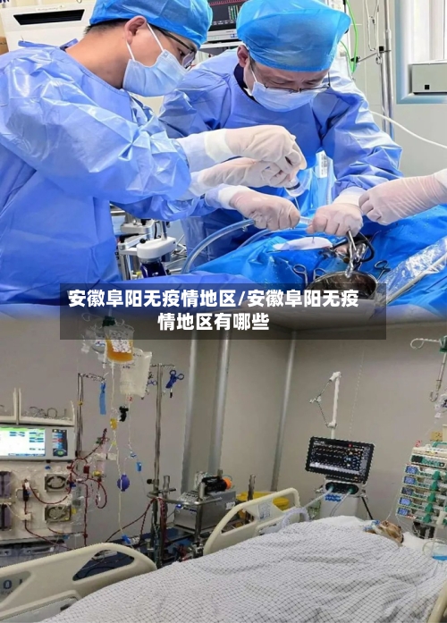 安徽阜阳无疫情地区/安徽阜阳无疫情地区有哪些-第2张图片