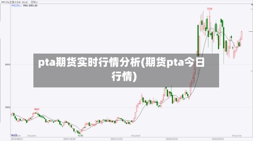 pta期货实时行情分析(期货pta今日行情)-第2张图片