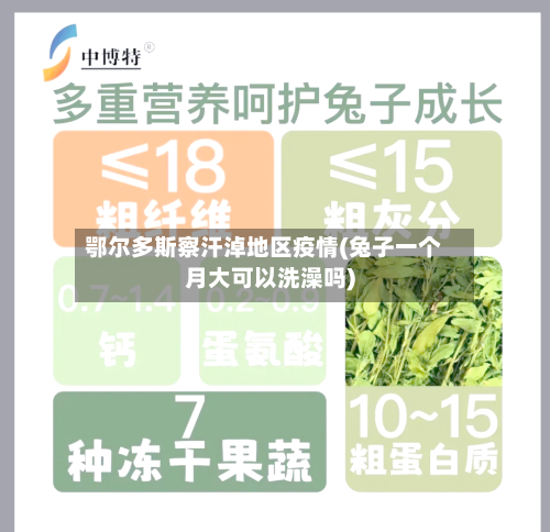 鄂尔多斯察汗淖地区疫情(兔子一个月大可以洗澡吗)