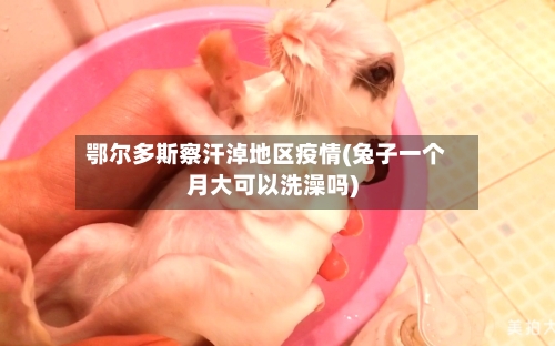 鄂尔多斯察汗淖地区疫情(兔子一个月大可以洗澡吗)-第2张图片