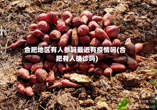 合肥地区有人参吗最近有疫情吗(合肥有人确诊吗)-第2张图片