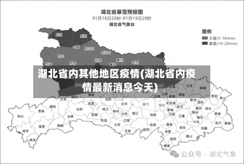 湖北省内其他地区疫情(湖北省内疫情最新消息今天)-第2张图片
