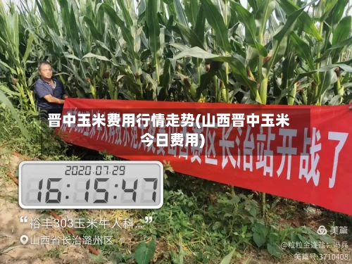 晋中玉米费用行情走势(山西晋中玉米今日费用)-第3张图片