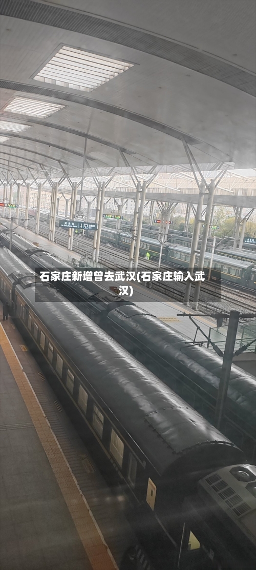 石家庄新增曾去武汉(石家庄输入武汉)