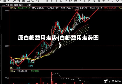原白糖费用走势(白糖费用走势图)