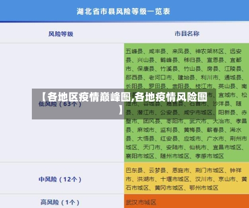 【各地区疫情巅峰图,各地疫情风险图】-第3张图片