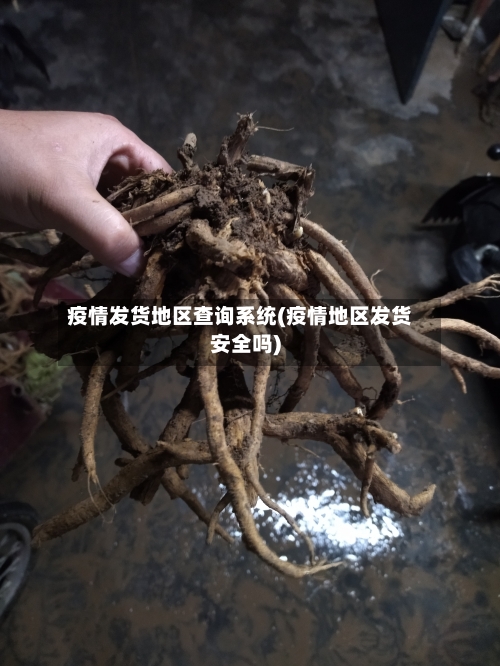 疫情发货地区查询系统(疫情地区发货安全吗)