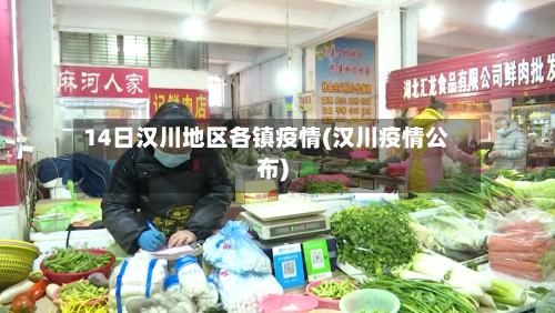 14日汉川地区各镇疫情(汉川疫情公布)-第2张图片
